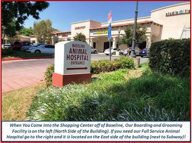 Baseline Animal Hospital, California, Rancho Cucamonga